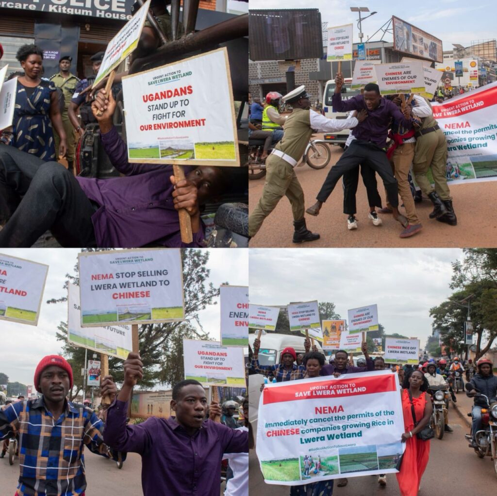 Environmental activists